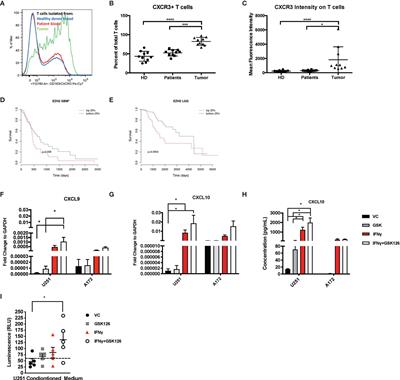 Reversing Epigenetic Gene Silencing to Overcome Immune Evasion in CNS Malignancies